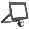 Ansell Lighting Eden projektør med sensor, 50W, 4000K
