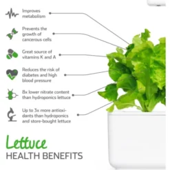 Click and Grow grøn salat - 3 stk