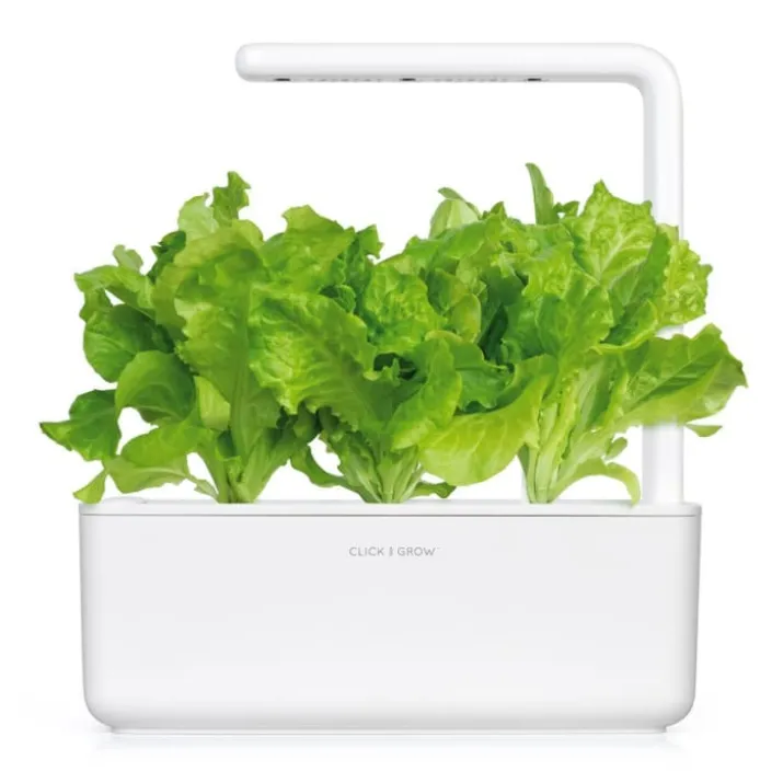 Click and Grow grøn salat - 3 stk