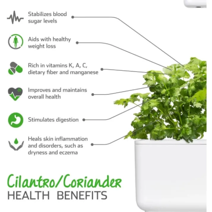 Click and Grow koriander - 3 stk