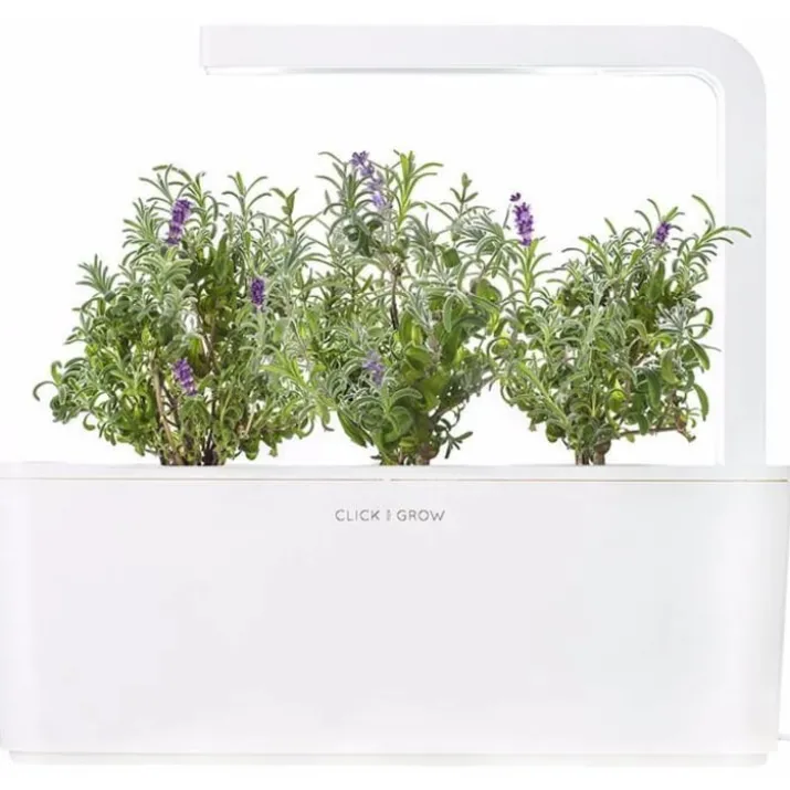 Click and Grow lavendel - 3 stk