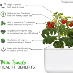 Click and Grow Mini tomater - 3 stk