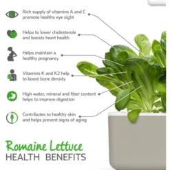 Click and Grow romaine salat - 3 stk