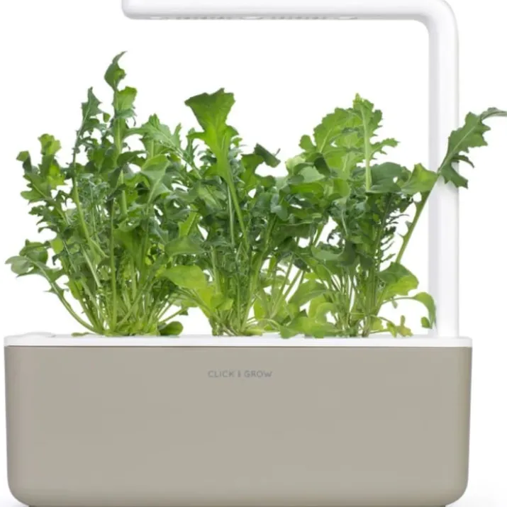 Click and Grow rucola - 3 stk