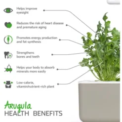 Click and Grow rucola - 3 stk