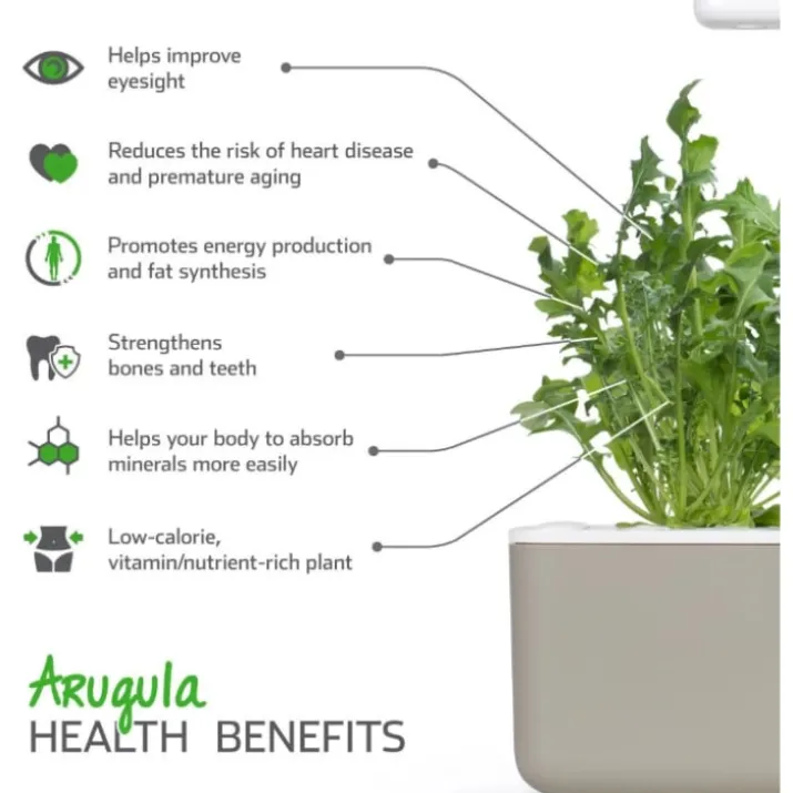 Click and Grow rucola - 3 stk