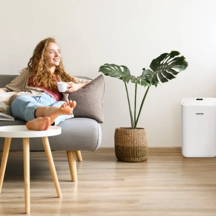 Eeese Otto affugter, appstyret, 13 liter/døgn, 60 m²