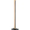 Eglo Camacho gulvlampe