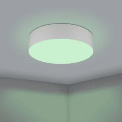 Eglo Z Romao plafond, grå