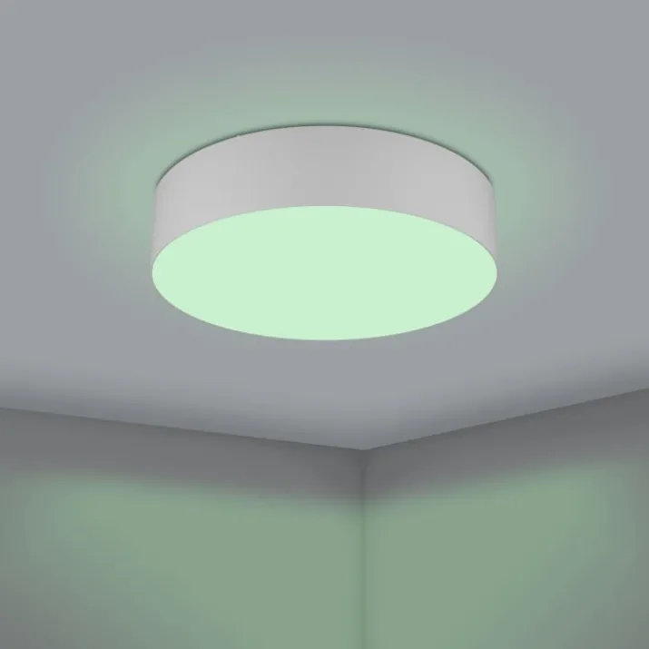 Eglo Z Romao plafond, grå