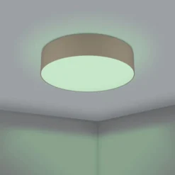 Eglo Z Romao plafond, taupe
