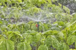 Gardena micro-drip finregndyse 360°
