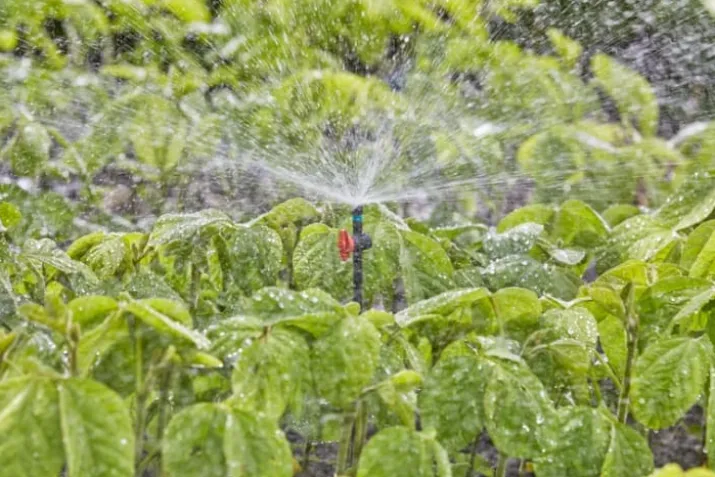 Gardena micro-drip finregndyse 360°