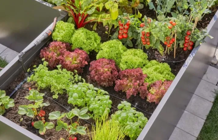 Gardena micro-drip højbedssæt til 35 planter