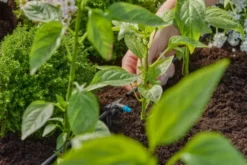 Gardena micro-drip rækkedrypvander 2l/t
