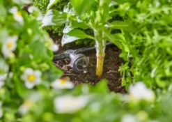 Gardena micro-drip rækkedrypvander, trykkomp