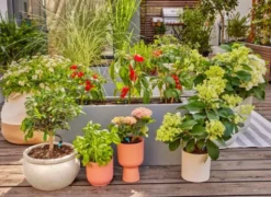 Gardena micro-drip terrassesæt til 30 planter