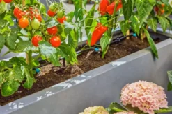 Gardena micro-drip terrassesæt til 30 planter