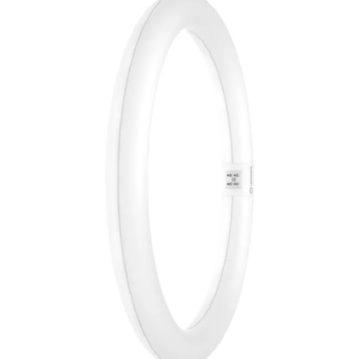 Ledvance Value T9 rundt lysstofrør, 20W, 6500K