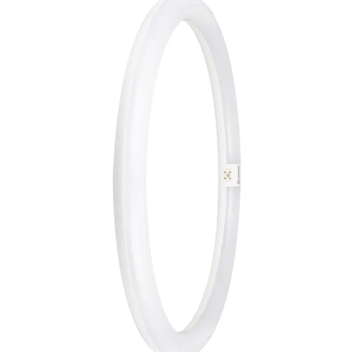 Ledvance Value T9 rundt lysstofrør, 24W, 4000K