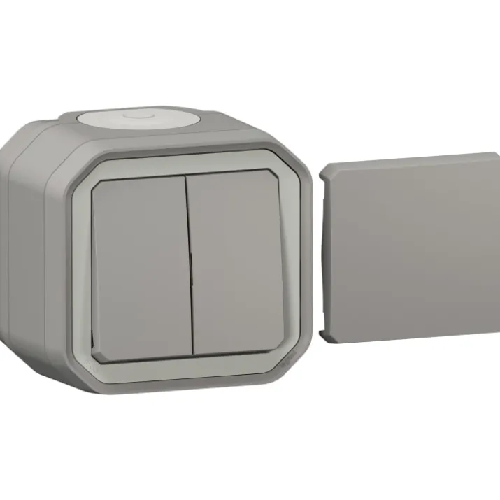 Legrand Plexo55 udendørs afbryder, 2 modul, grå