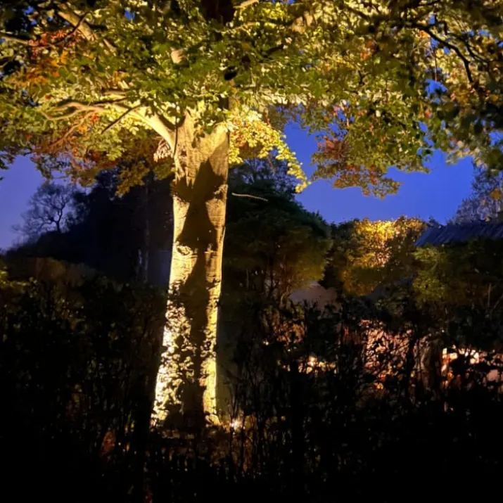 Light By Juul bedlampe m. Juuliane spot, rust
