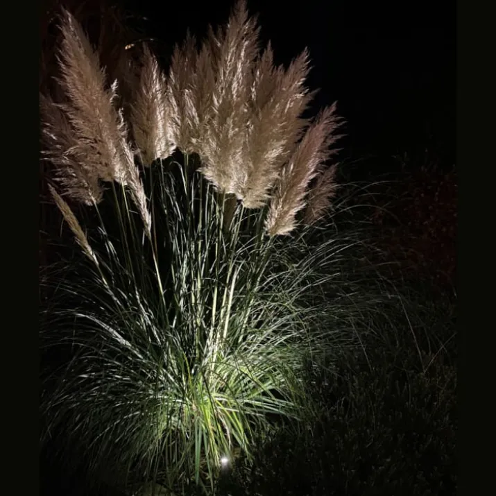 Light By Juul bedlampe m. Juulius 3W spot, rustfrit stål
