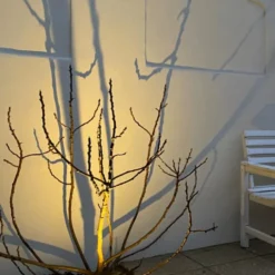 Light By Juul Chaussesten med Juulius 3 spot, earl grey