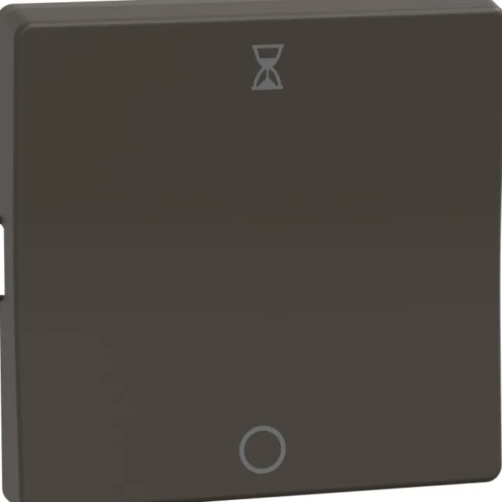 LK Fuga tangent for afbryder med timer, 10A, koksgrå