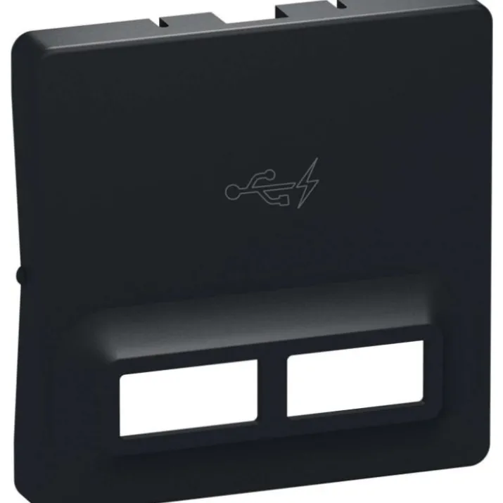 LK Fuga 2xUSB A+C 2,4A, koksgrå