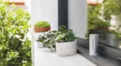 Netatmo smart vejrstation med regnmåler