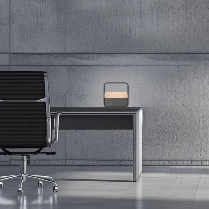 Paul Neuhaus Pure Go Akku genopladelig bordlampe, antracit