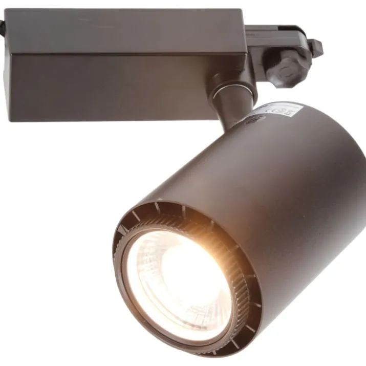 Rex 2 skinnespot 3F, sort