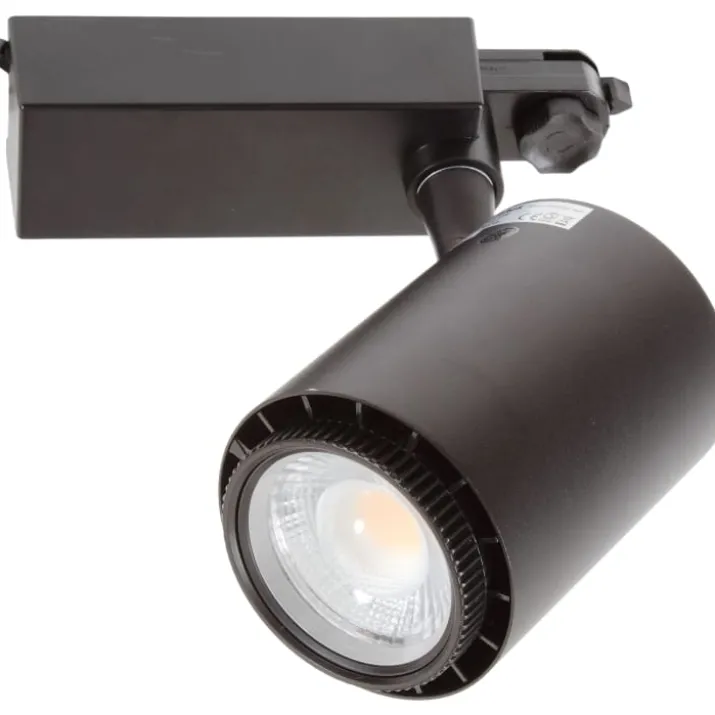 Rex 2 skinnespot 3F, sort