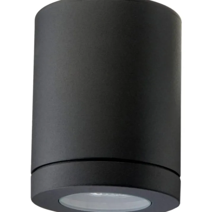 SG Metro udendørs loftlampe, sort