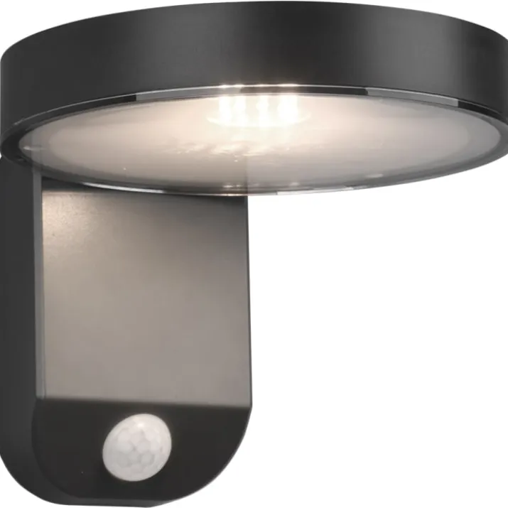 Trio Lighting Posadas solcelle væglampe
