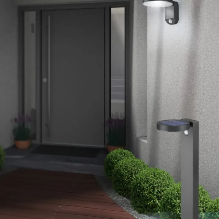 Trio Lighting Posadas solcelle væglampe
