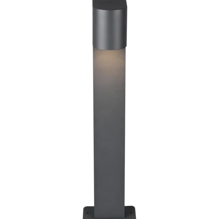 Trio Lighting Roya havelampe, 50 cm